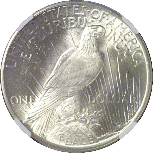 1924 Peace Dollar  -  NGC MS-66 - Image 3