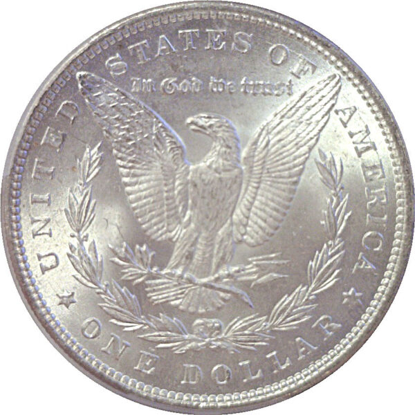 1884 Morgan Dollar  -  PCGS MS-65 - Image 3