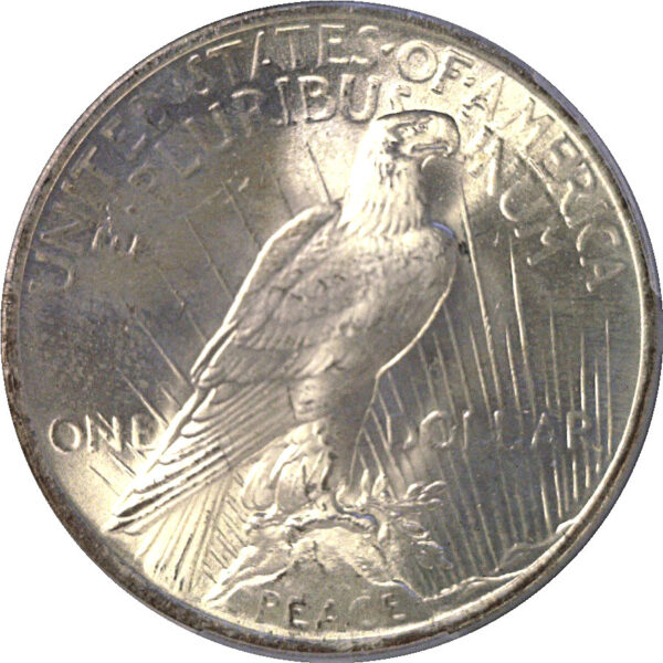 1923 Peace Dollar  -  PCGS MS-66 - Image 3