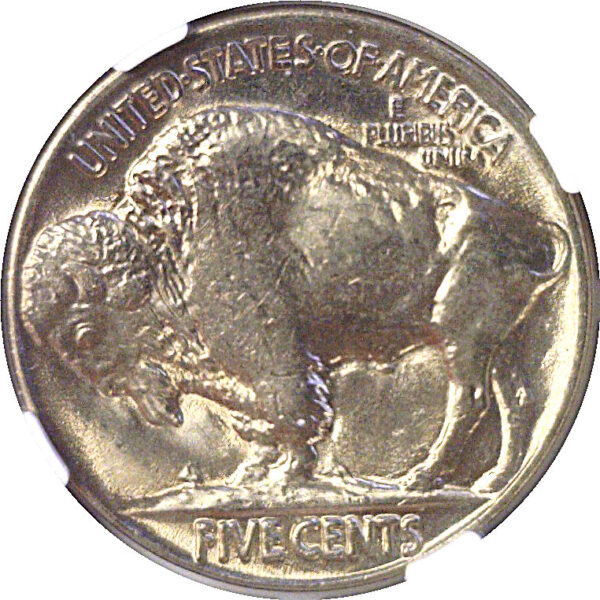 1929 Buffalo Nickel  -  NGC MS-65 - Image 3