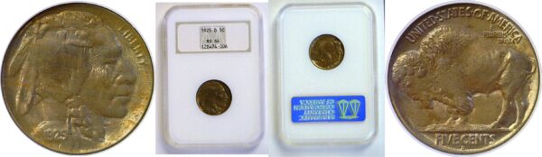 1925-D Buffalo Nickel  -  NGC MS-64