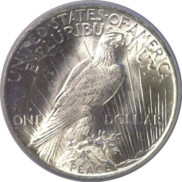1925 Peace Dollar  -  PCGS MS-65  CAC - Image 3