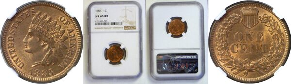 1885 Indian Head Cent  -  NGC MS-65 RB