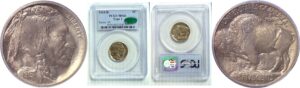 1913-D T-1  Buffalo Nickel    PCGS MS-66  CAC