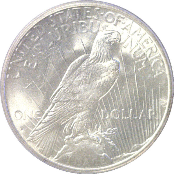 1934-S Peace Dollar  -  PCGS MS-63 - Image 3