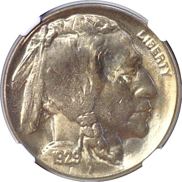 1929-D Buffalo Nickel  -  NGC MS-64 - Image 2