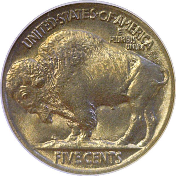1925 Buffalo Nickel  -  NGC MS-64 - Image 3