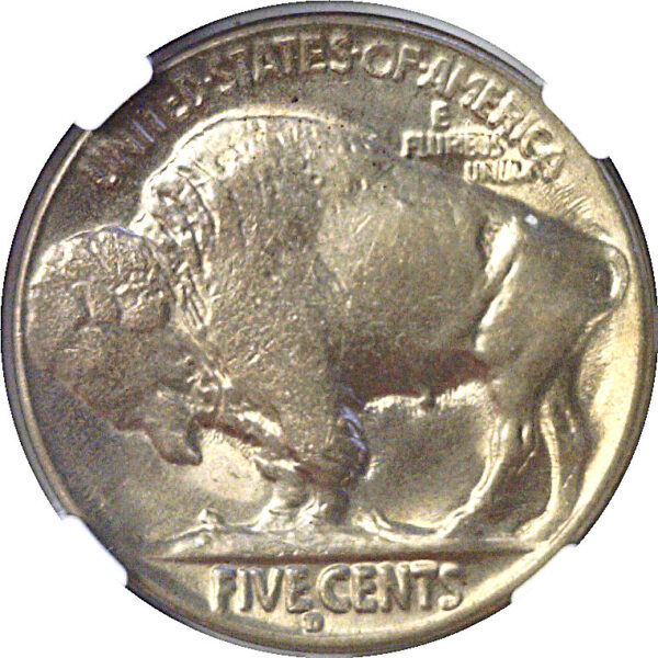 1929-D Buffalo Nickel  -  NGC MS-64 - Image 3
