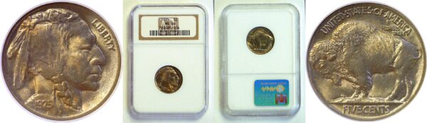 1925 Buffalo Nickel  -  NGC MS-64