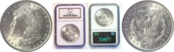 1889 Morgan Dollar  -   NGC  MS-65