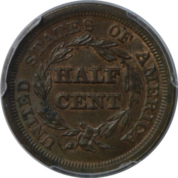 1853 Half Cent  -  PCGS MS-63 BN  CAC - Image 3