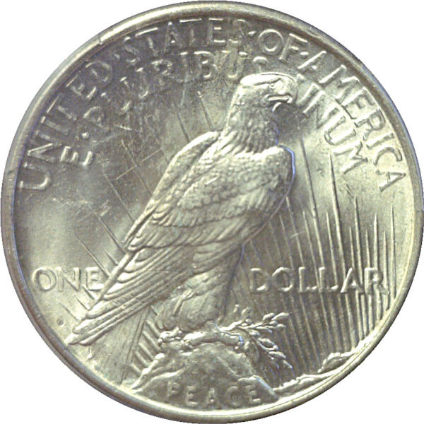 1926-D Peace Dollar  -  PCGS MS-63 - Image 3