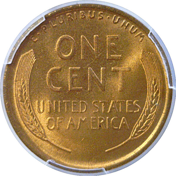 1919 Lincoln Cent  -  PCGS MS-67 RD - Image 3
