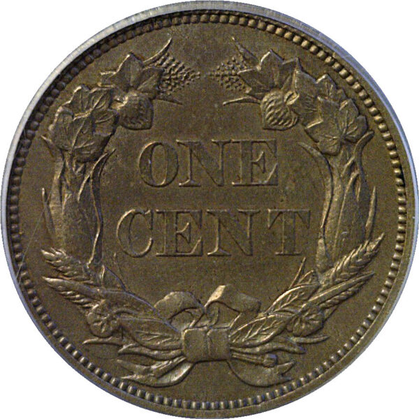 1856 Flying Eagle Cent  -  PCGS PR-62  CAC - Image 3