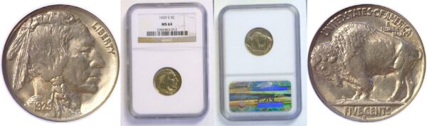 1929-S Buffalo Nickel  -  NGC MS-64