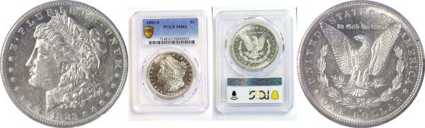 1883-S Morgan Dollar. -  PCGS MS-61