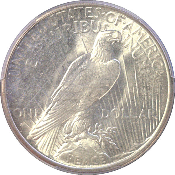 1934-D Peace Dollar  -  PCGS MS-65+ - Image 3