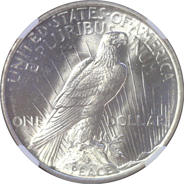 1923-D Peace Dollar  -  NGC MS-65 - Image 3