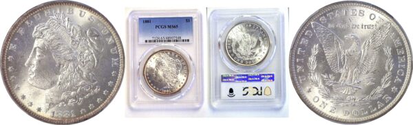 1881 Morgan  Dollar  -  PCGS MS-65