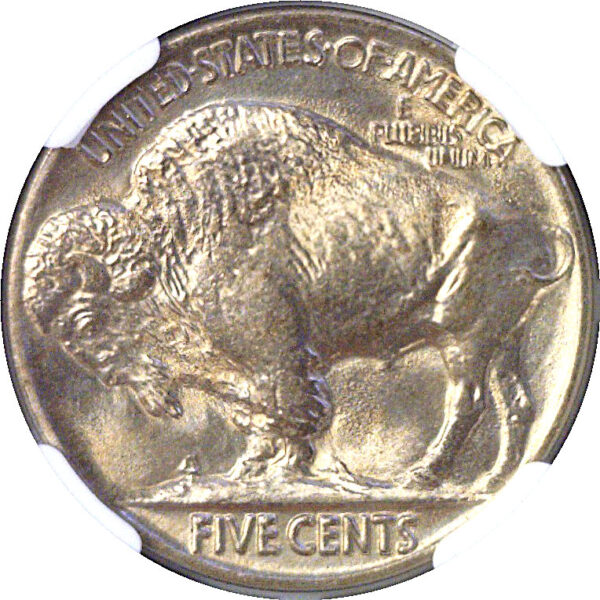 1930 Buffalo Nickel  -  NGC MS-65 - Image 3