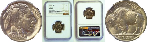 1923 Buffalo Nickel  -  NGC MS-64