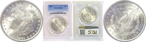 1881 Morgan Dollar  -  PCGS MS-65