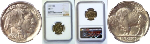 1927-D Buffalo Nickel  -  NGC MS-64+