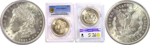 1921-D Morgan Dollar  -  PCGS MS-66+