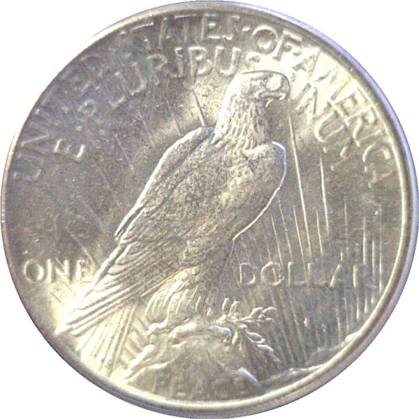 1928 Peace Dollar  -  PCGS MS-63  CAC - Image 3