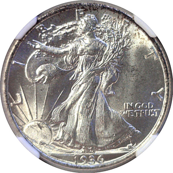 1936 Walking Liberty Half Dollar  -  NGC MS-66 - Image 2