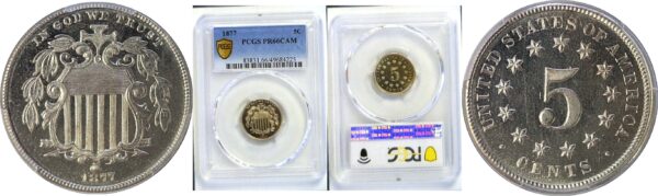 1877 Shield Nickel  -  PCGS PR-66 CAM