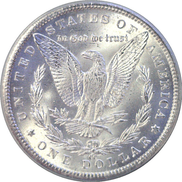 1884-CC Morgan Dollar  -  PCGS MS-65 - Image 3
