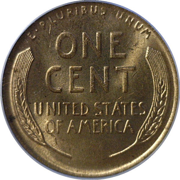 1921 Lincoln Cent  -  PCGS MS-64 RD - Image 3