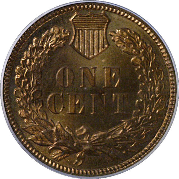1884 Indian Head Cent  -  PCGS PR-65 RD - Image 3