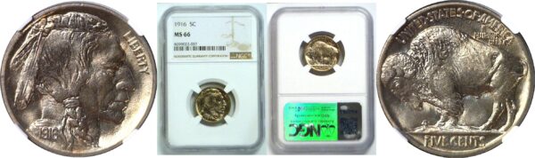 1916 Buffalo Nickel. -  NGC MS-66