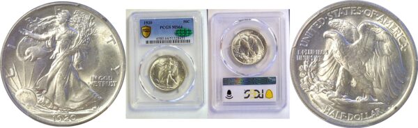 1920 Walking Liberty Half Dollar  -  PCGS MS-64  CAC