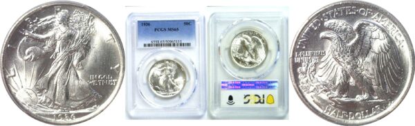 1936 Walking Liberty Half Dollar. -  PCGS MS-65