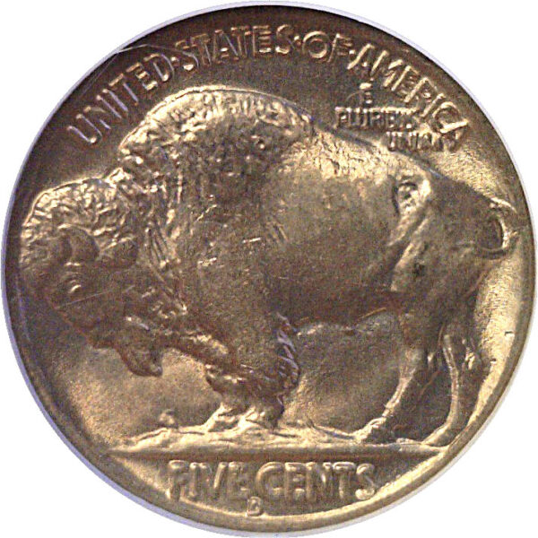 1936-D Buffalo Nickel  -  NGC MS-66 - Image 3
