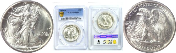 1939-D Walking Liberty Half Dollar. -  PCGS MS-66+