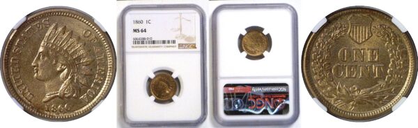 1860 Indian Head Cent  -  NGC MS-64