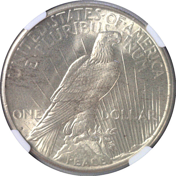 1934-S Peace Dollar  -  NGC MS-64+ - Image 3