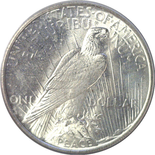 1927-D Peace Dollar  -  PCGS MS-63 - Image 3