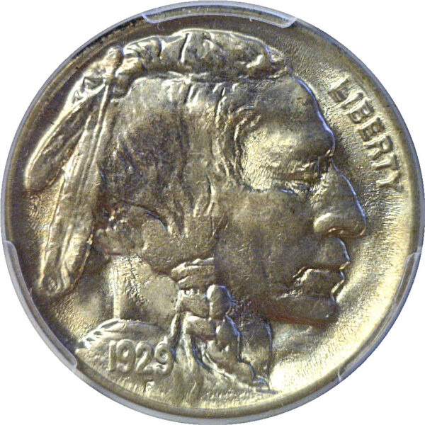 1929 Buffalo Nickel  -  PCGS MS-65 - Image 2