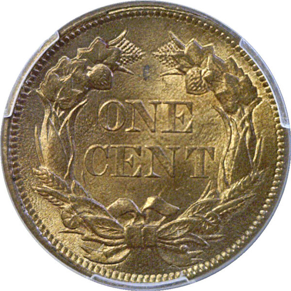 1858 Small Letters.  Flying Eagle Cent  -  PCGS MS-64 - Image 4