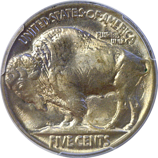 1929 Buffalo Nickel  -  PCGS MS-65 - Image 3