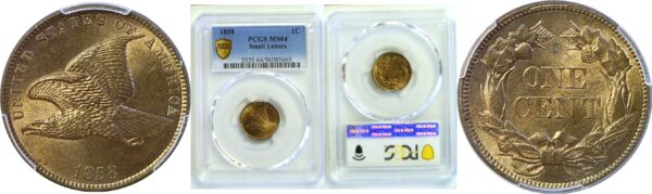 1858 Small Letters.  Flying Eagle Cent  -  PCGS MS-64