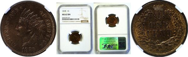 1878 Indian Head Cent. -NGC MS-62 BN