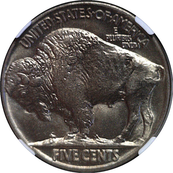 1923 Buffalo Nickel  -  NGC MS-64 - Image 3