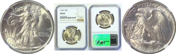 1936 Walking Liberty Half Dollar  -  NGC MS-66