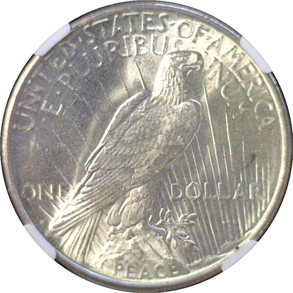 1934-D Peace Dollar  -  NGC MS-64 - Image 3